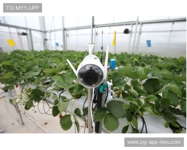 千叶喷射机季初状态回暖，千叶喷气机