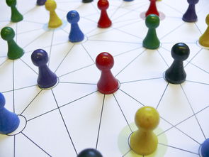 乐鱼（中国）体育官方网站-国足换人策略与比分变化关系，国足换帅一说的准确性到目前依然无从核实