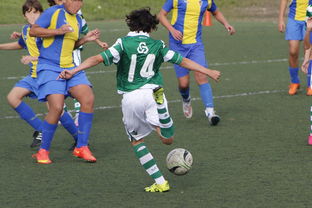 LeyuSports-凡尘组合2-1逆转世界第18，备战下轮日本王牌之战，凡尘组合决赛打谁