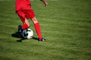 Leyu Sports APP下载-中国足球职业俱乐部推动管理层岗位轮训制度，职业足球俱乐部训练计划